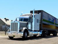 貨品生皮從深圳市選取輪船貨代至斯里蘭卡——科倫坡