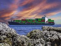 千萬千瓦海上風電建設起航！遼寧打造世界級海上風電集群