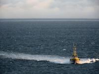 貨品輪轂及輪胎從柳州市采取海運運輸?shù)饺鸬洹紊? />
</a>
<span id=