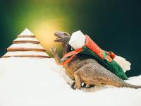 嘉興市運(yùn)抵到秘魯——利馬全球城市出口貨運(yùn)配送簡述