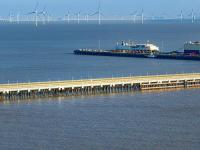 2025美國FBA海運通關攻略：中國賣家在合規與風險間突圍