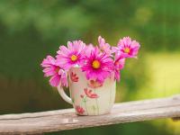 國際快遞/寄往奧地利快遞要怎么寄/收費標(biāo)準(zhǔn)