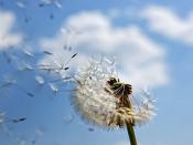 提高效率!里加港加快采用數字物流平臺上海