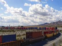 掛靠深圳鹽田港的船公司